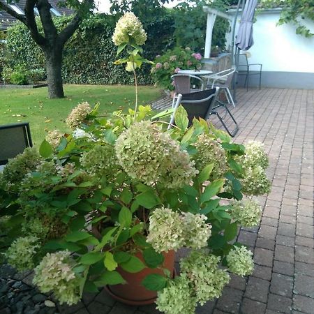 Ferienwohnung Kirschbluete Billigheim-Ingenheim Exteriör bild