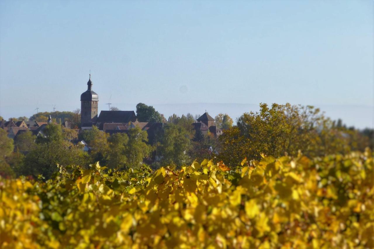 Ferienwohnung Kirschbluete Billigheim-Ingenheim Exteriör bild
